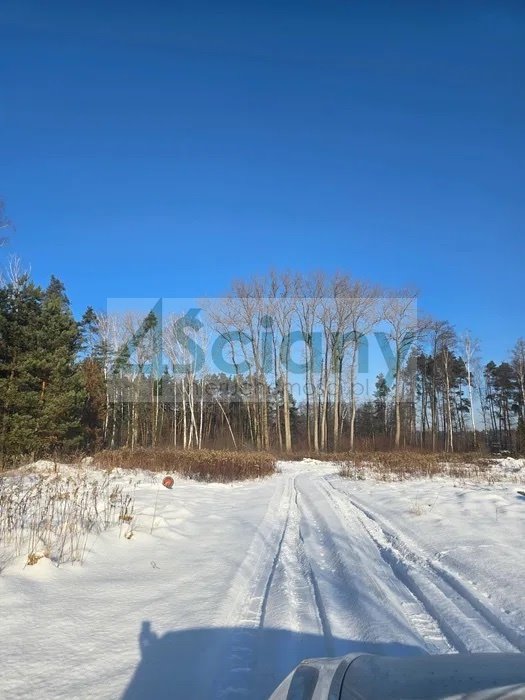 Działka 967 m² pod dom z dużym ogrodem, las w sąsiedztwie Kobyłka  967m2 Foto 1