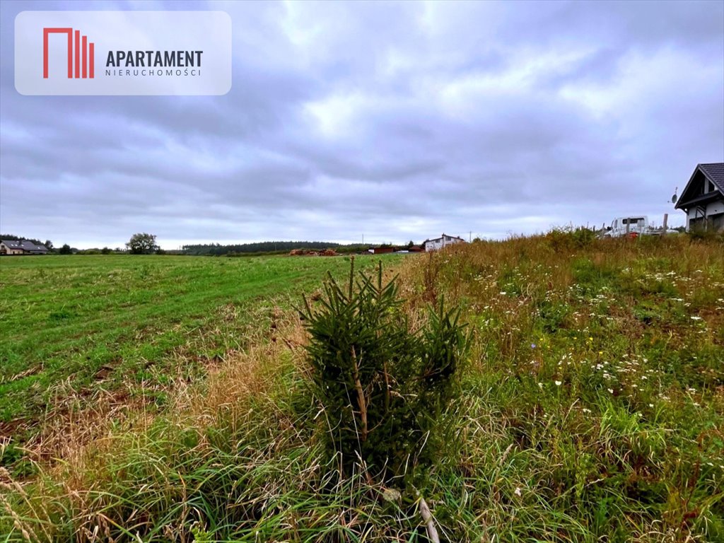 Działka budowlana na sprzedaż Kolincz  1 579m2 Foto 10