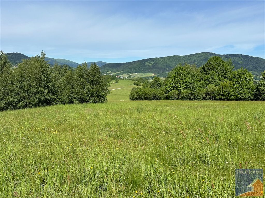 Działka budowlana na sprzedaż Skrzydlna  7 400m2 Foto 11