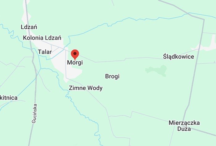 Zapraszam do zakupu zalesionej działki 1000 m² w Dobroniu: Ldzań: Morgi