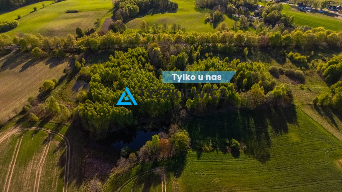 Działka siedliskowa na sprzedaż Grabowska Huta  26 543m2 Foto 1