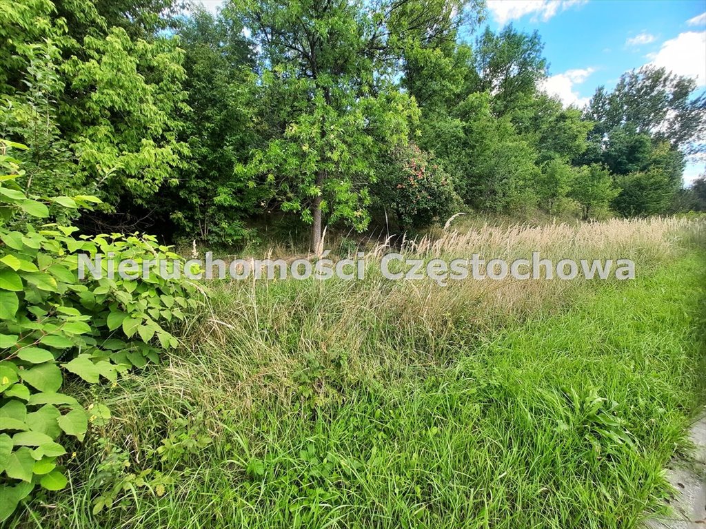 Działka inna na sprzedaż Częstochowa, Wyczerpy Dolne  25 998m2 Foto 1