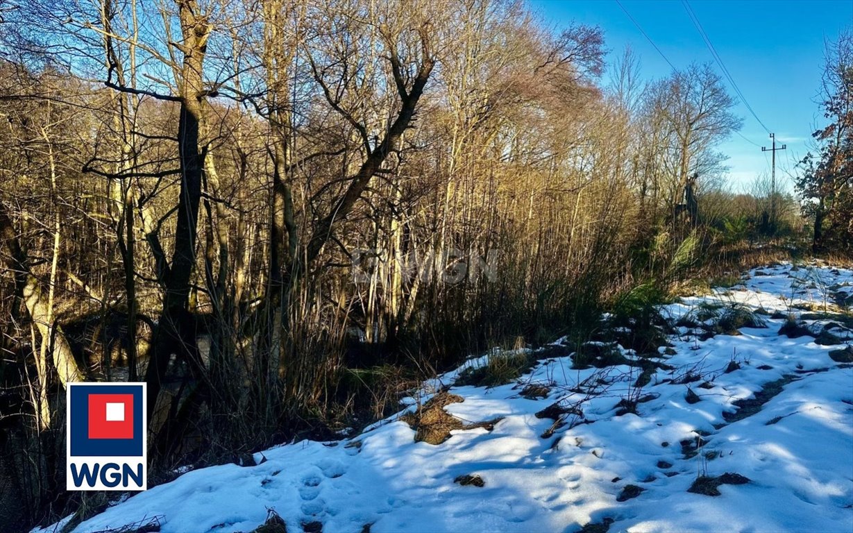 Działka rolna na sprzedaż Dębnica Kaszubska, Ks. Antoniego Kani  5 700m2 Foto 4