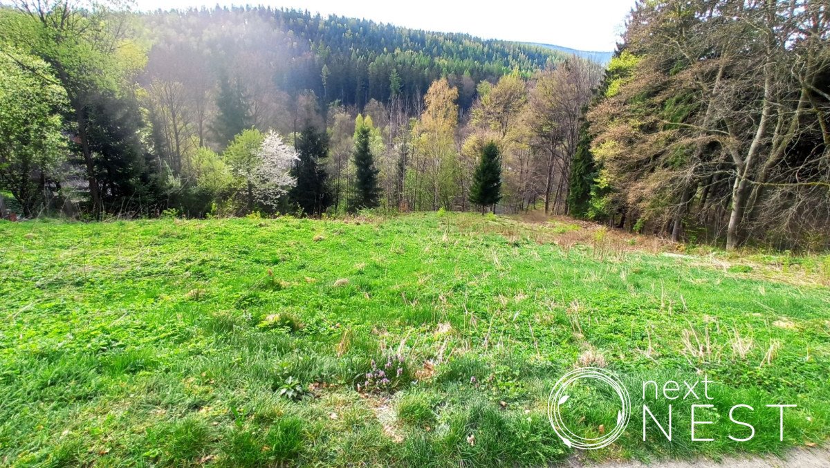 Działka przemysłowo-handlowa na sprzedaż Polanica-Zdrój  3 000m2 Foto 5