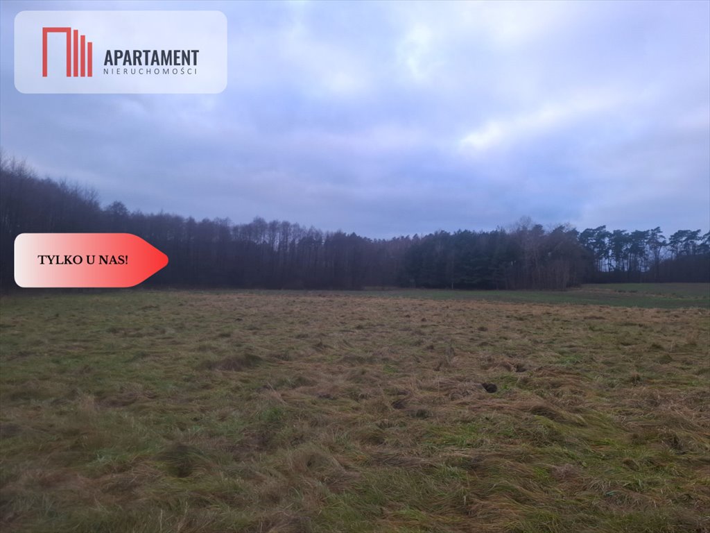 Działka rolna 12 800 m2 w Bzowie, las, spokojna okolica Bzowo  12 800m2 Foto 1