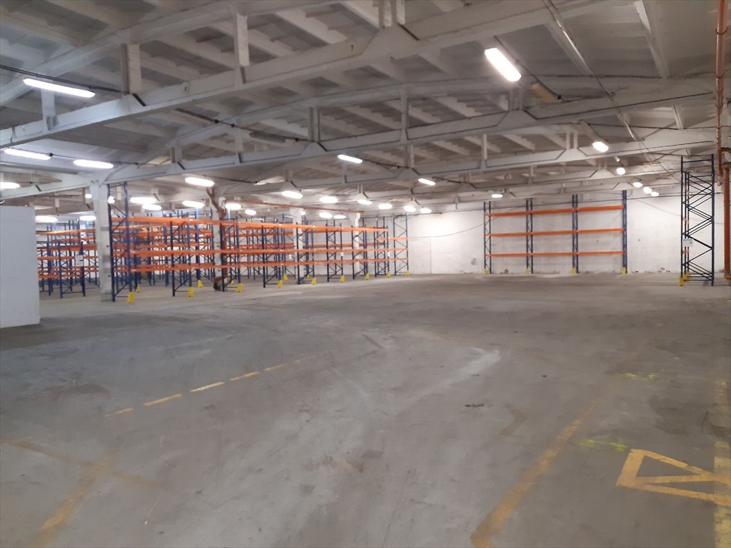 Lokal użytkowy na wynajem Poznań, Jeżyce, Druskienicka 8/10  2 430m2 Foto 1