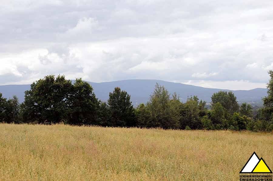 Działka budowlana na sprzedaż Brzeziniec  1 500m2 Foto 8