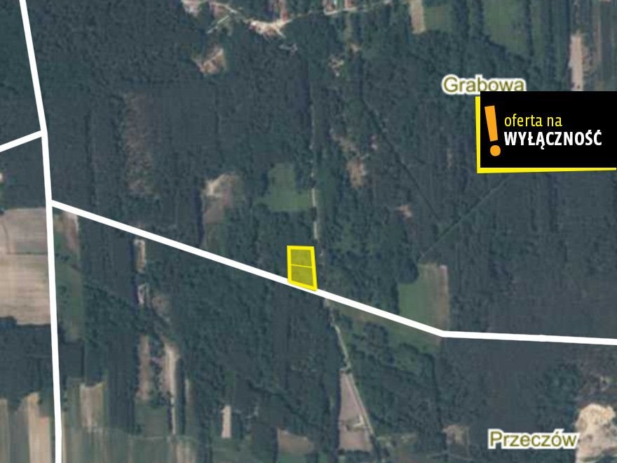 Działka 3209 m² z lasem, warunki zabudowy, media, Grabowa Grabowa  3 209m2 Foto 1