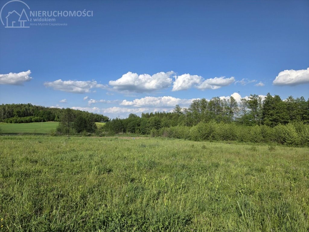 Działka 9,82 ara w Stróżach (spokojna okolica, media w pobliżu) Stróże  982m2 Foto 1