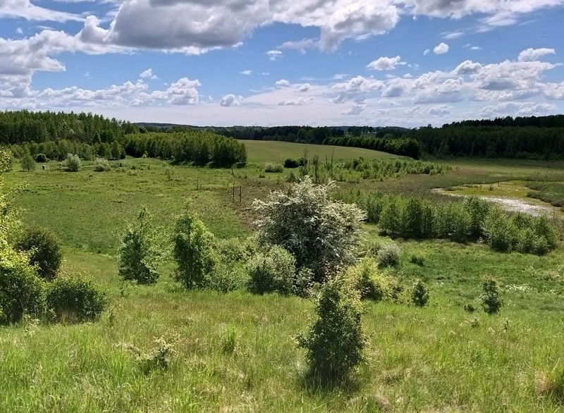 Działka rolna na sprzedaż Nowosady  22 800m2 Foto 8