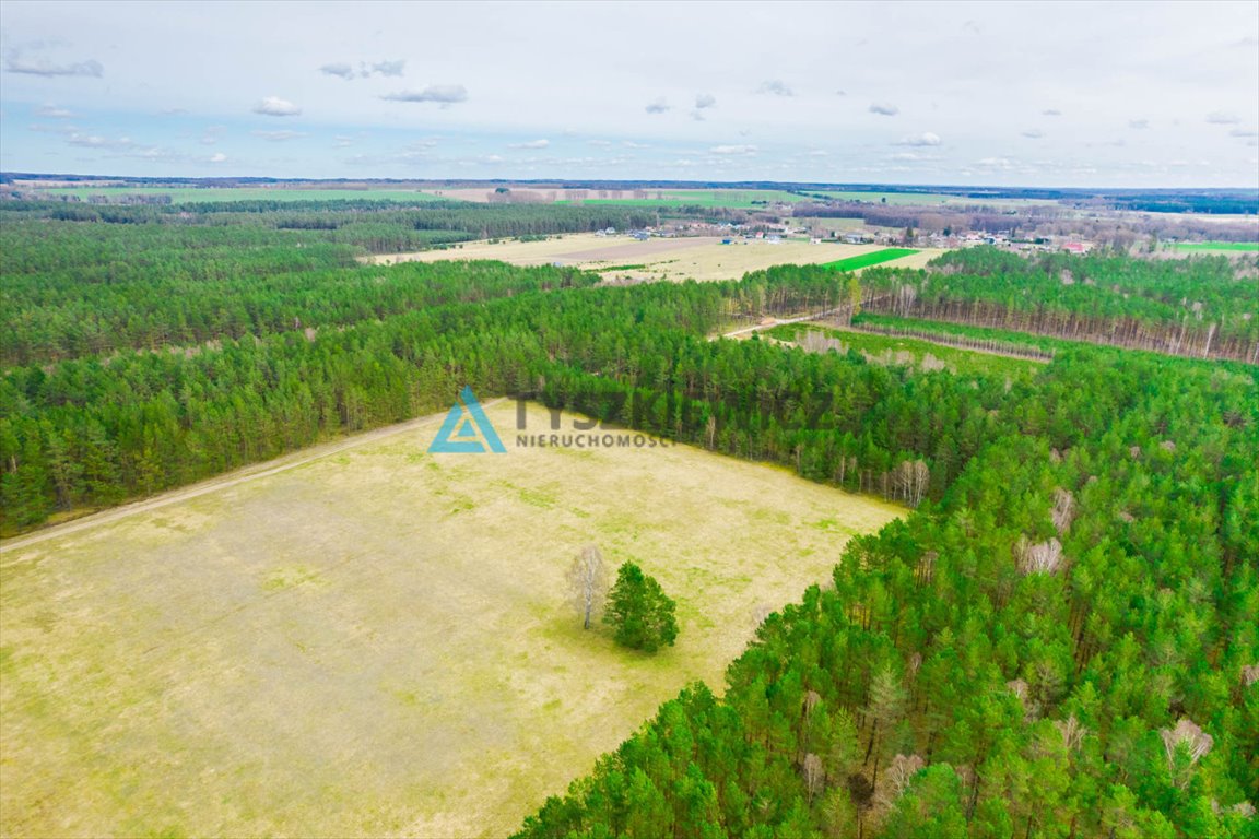 Działka rolna na sprzedaż Zielin  34 300m2 Foto 5