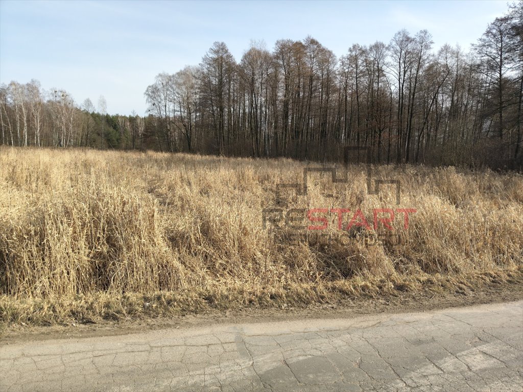Działka z lasem, 1500 m² pod zabudowę, cisza i prywatność Adamów-Wieś  4 282m2 Foto 1