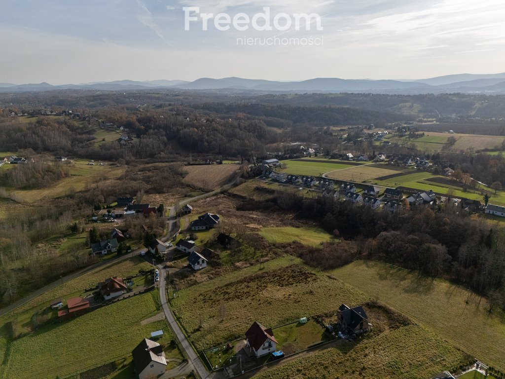 Działka budowlana na sprzedaż Olszowice, Kopań  5 538m2 Foto 6