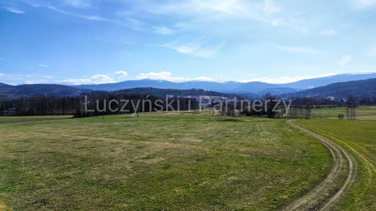 Działka 9000 m² z widokiem na Karkonosze (Podgórzyn) Podgórzyn  9 000m2 Foto 1