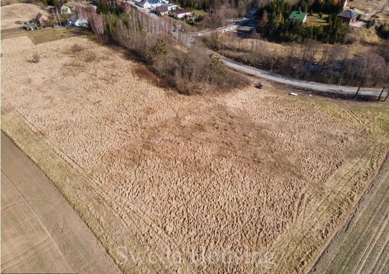 Działka budowlana na sprzedaż Kłodawa  10 022m2 Foto 3