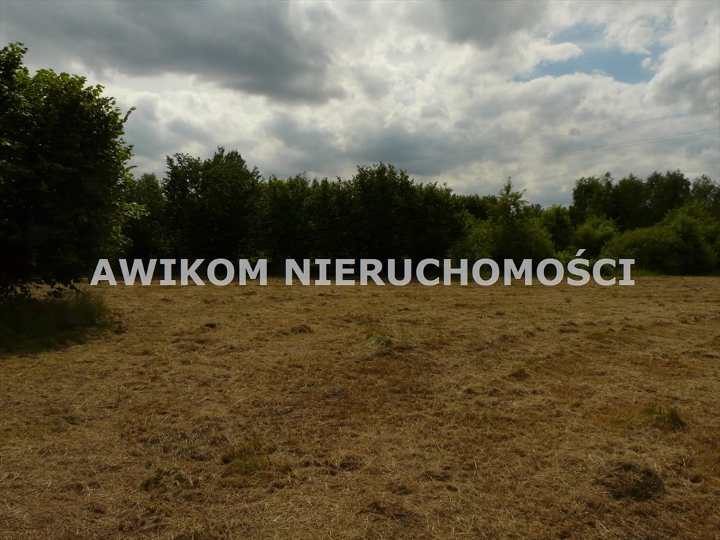 Działki budowlane 1000 m² - blisko lasu w Grabina Radziwiłłowska Puszcza Mariańska, Grabina Radziwiłłowska  2 000m2 Foto 1
