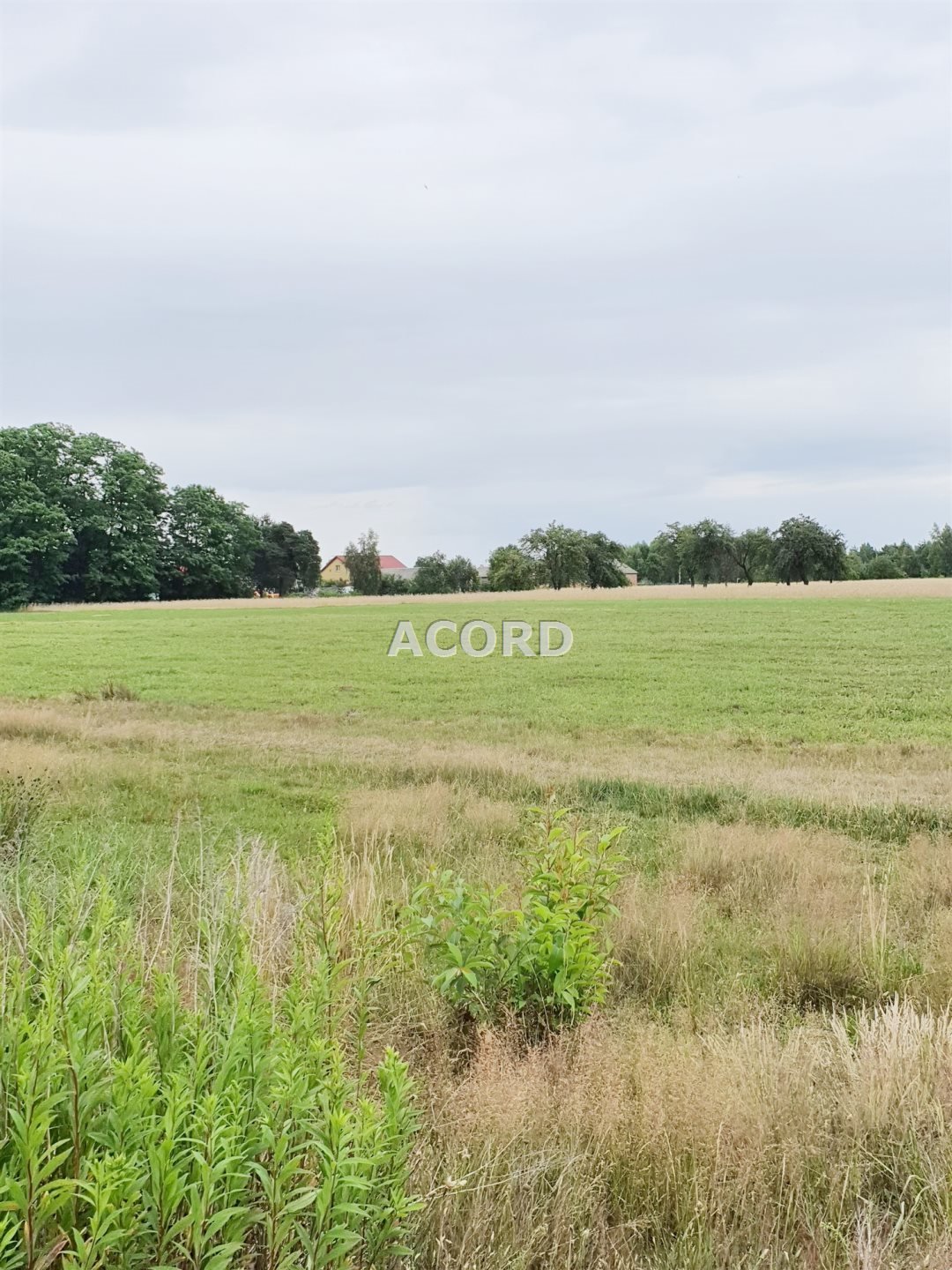 Działka budowlana na sprzedaż Michałów  2 000m2 Foto 3