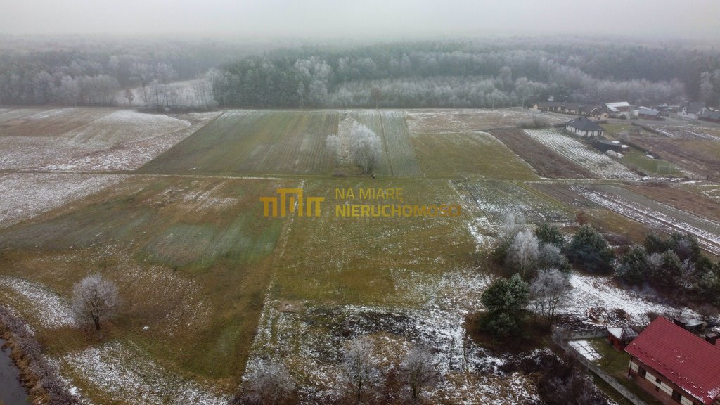 Działka rolna na sprzedaż Wola Żarczycka  4 800m2 Foto 6