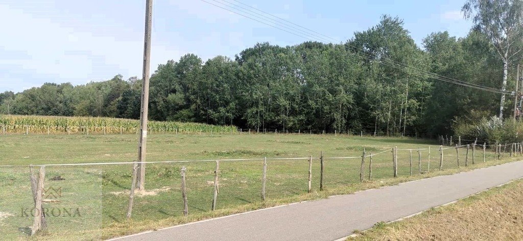 Działka budowlana na sprzedaż Folwarki Małe  1 181m2 Foto 4