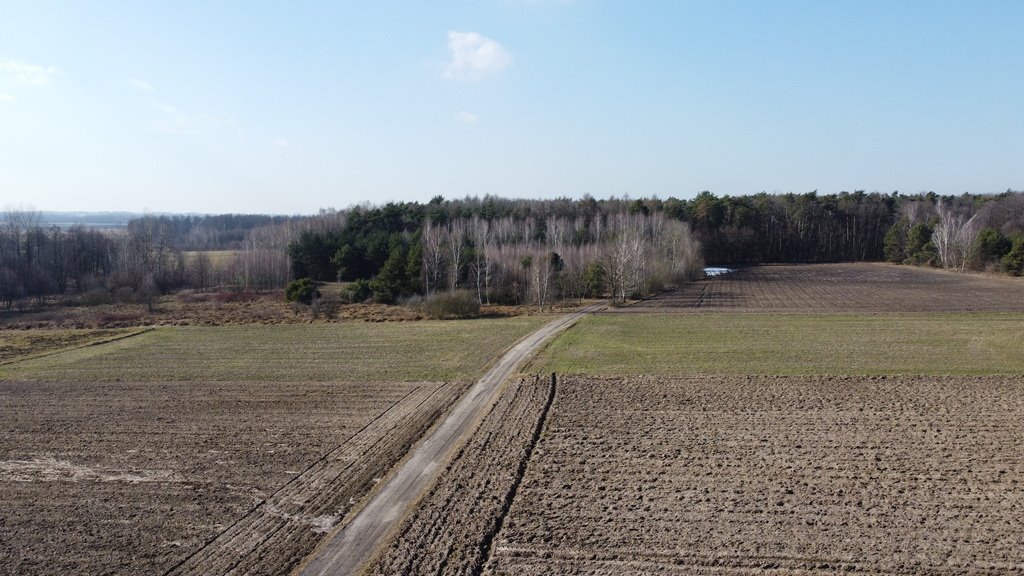 Działka 26 arów z prądem i światłowodem, zabudowa zagrodowa Żminne  2 600m2 Foto 1