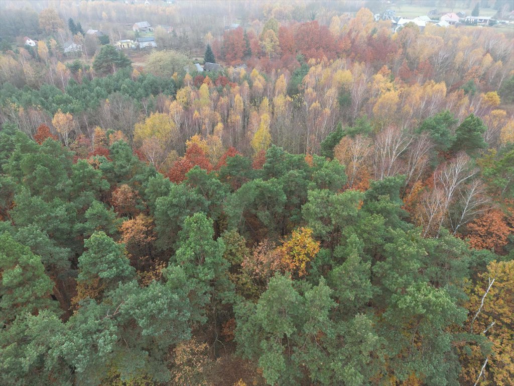 Działka budowlana na sprzedaż Strugi Krzywickie  26 000m2 Foto 1