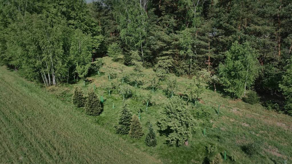 Działka budowlana na sprzedaż Mokra Wieś, Szymanówek  3 900m2 Foto 7