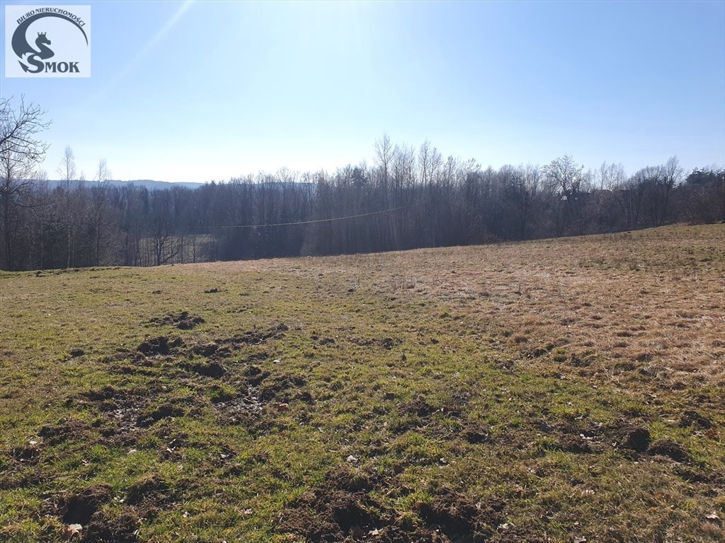 Działka budowlana na sprzedaż Głogoczów  1 000m2 Foto 1