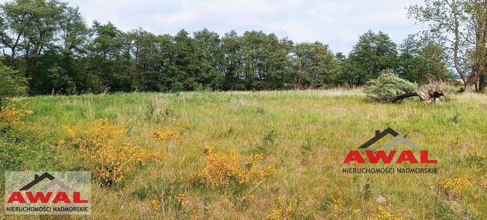 Działka budowlana na sprzedaż Władysławowo, Bohaterów Kaszubskich  13 700m2 Foto 9