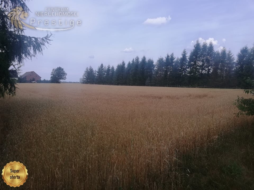 Działka budowlana na sprzedaż Biskupice, Biskupskie Drogi  1 353m2 Foto 9