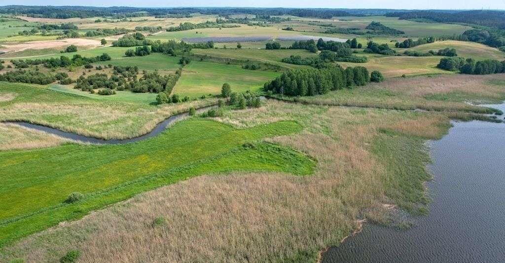 Działka rolna na sprzedaż Straduny  3 169m2 Foto 12