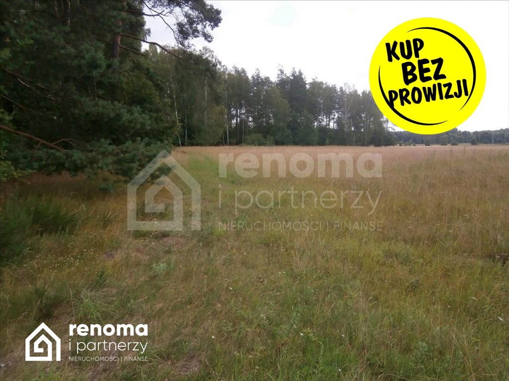 Działka inna na sprzedaż Powidz  9 100m2 Foto 1