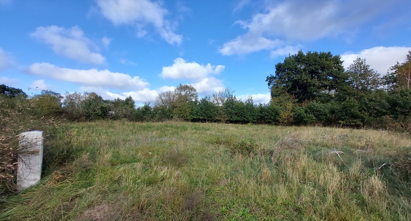 Działka pod biznes i mieszkanie, 648 m2, Dębina Dębina, Słonecznikowa  648m2 Foto 1