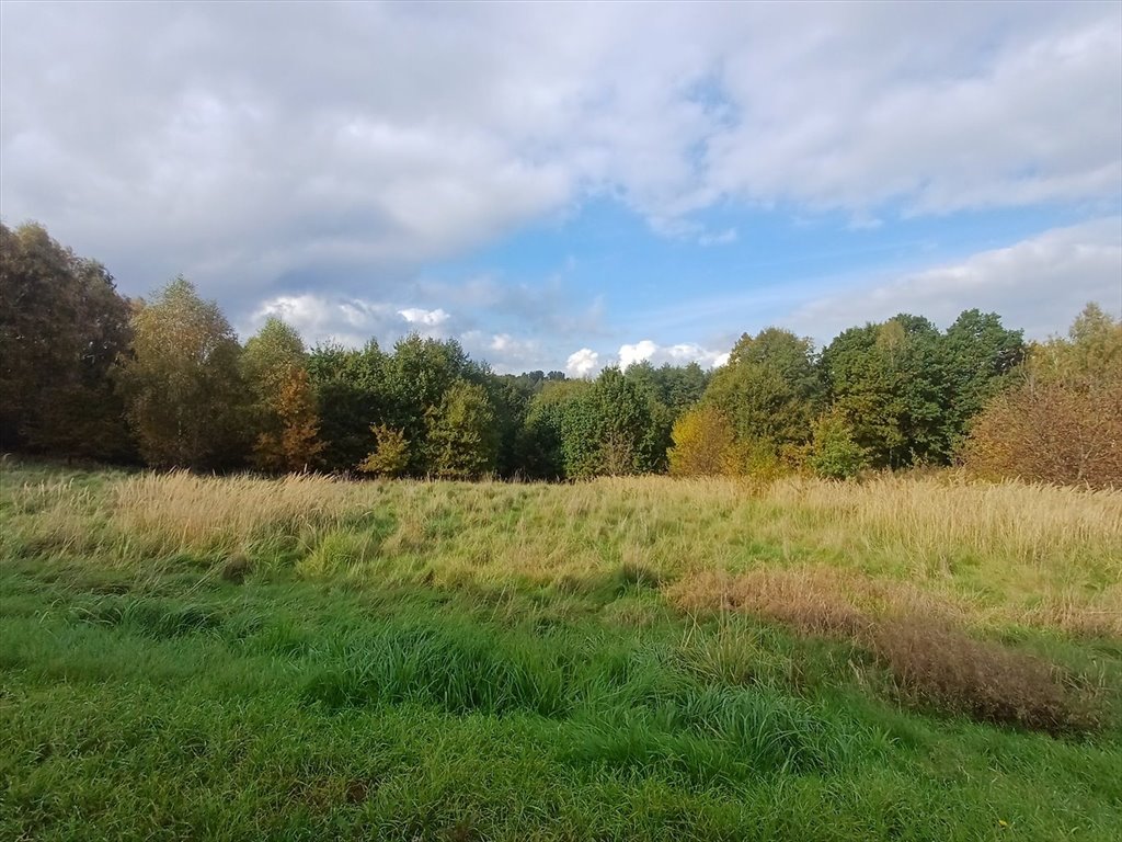 Działka budowlana na sprzedaż Wodzisław Śląski  4 792m2 Foto 1