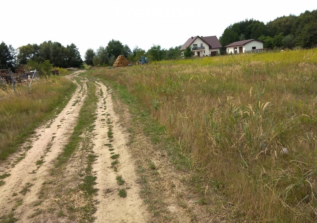 Działka rolna na sprzedaż Ostrówiec  5 600m2 Foto 11