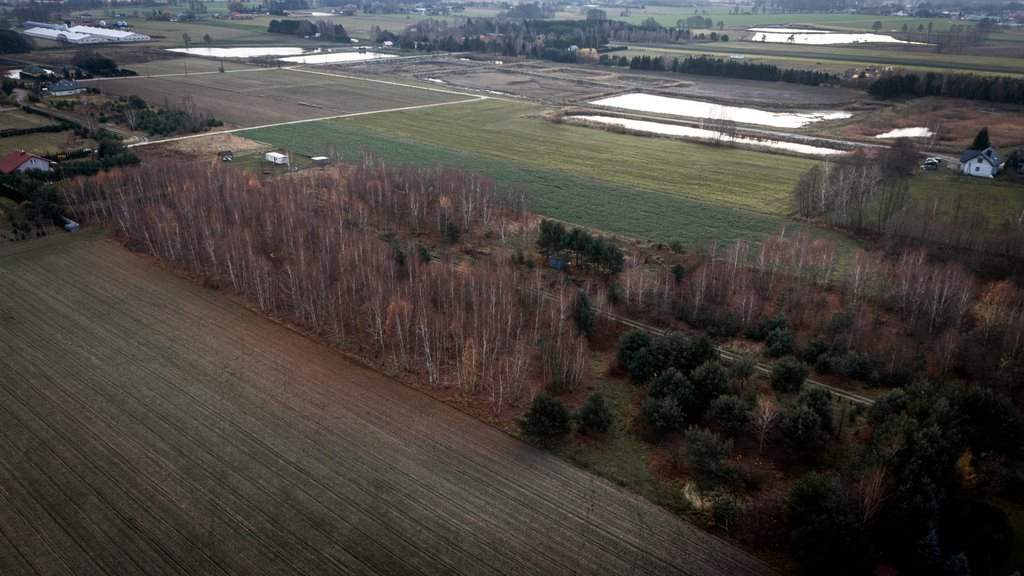 Działka rolna na sprzedaż Kotowice  3 400m2 Foto 3