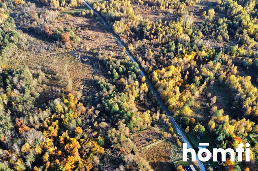 Działka inna na sprzedaż Rusinów  9 100m2 Foto 7