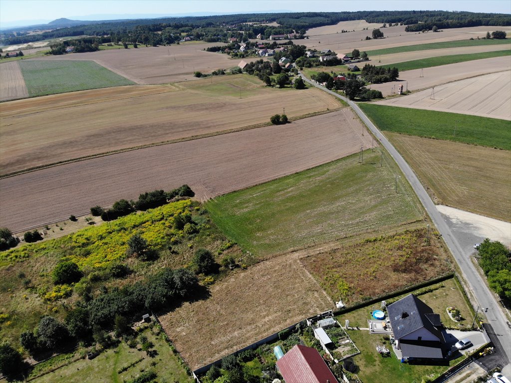 Działka budowlana na sprzedaż Okmiany  1 700m2 Foto 11