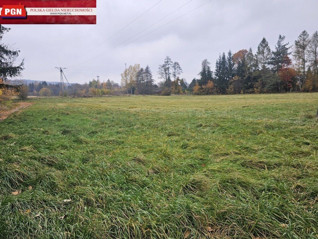 Dom na sprzedaż Międzylesie  500m2 Foto 18