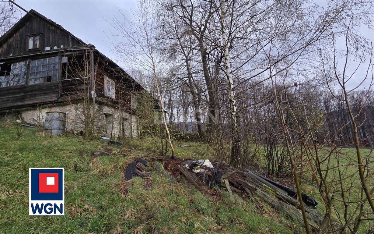 Działka siedliskowa na sprzedaż Ustroń, Równica  11 085m2 Foto 12