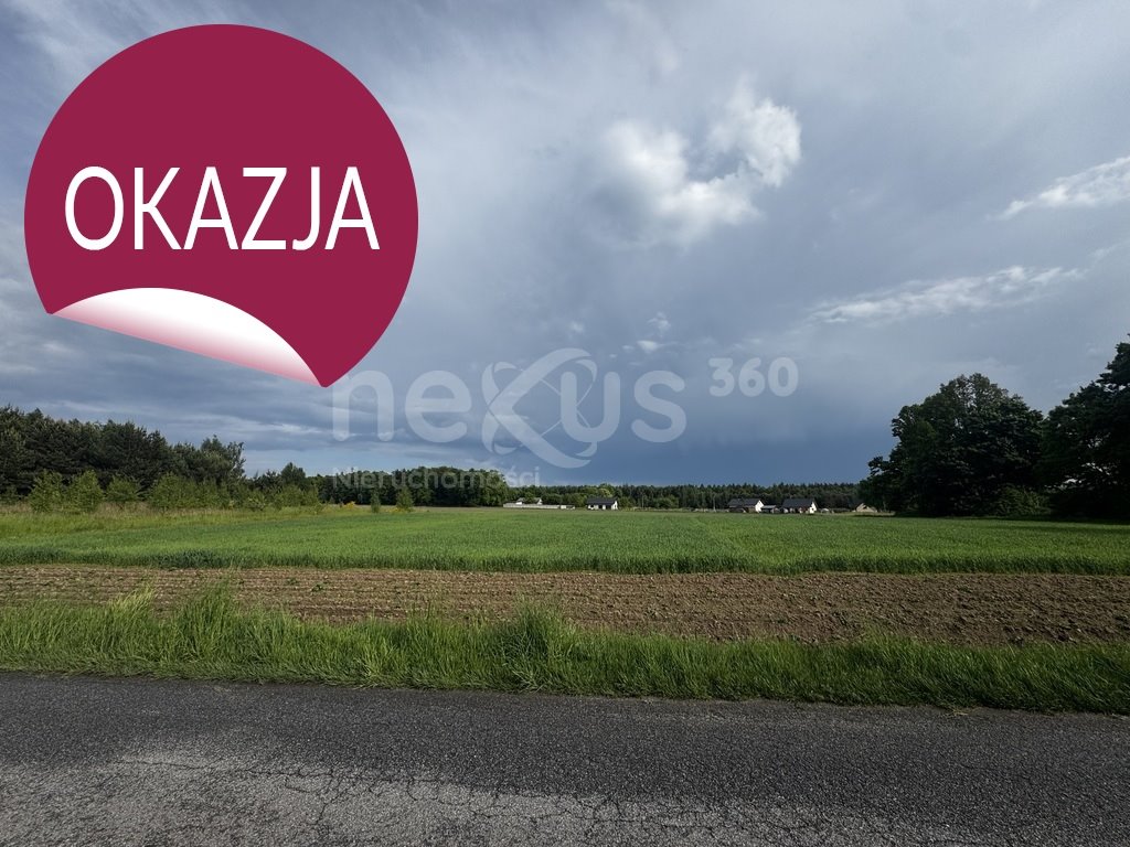 Duża działka 3 ha z możliwością podziału - blisko dróg Sądrożyce  30 018m2 Foto 1
