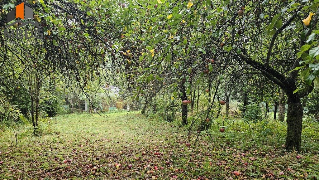 Działka rolna na sprzedaż Sieciechowice, Brzozowa  4 000m2 Foto 10