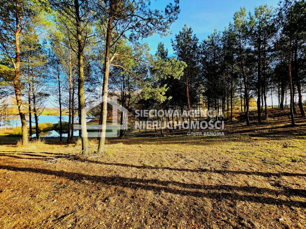 Malownicza działka z linią jeziora i dostępem do stawu Przęsin  8 993m2 Foto 1