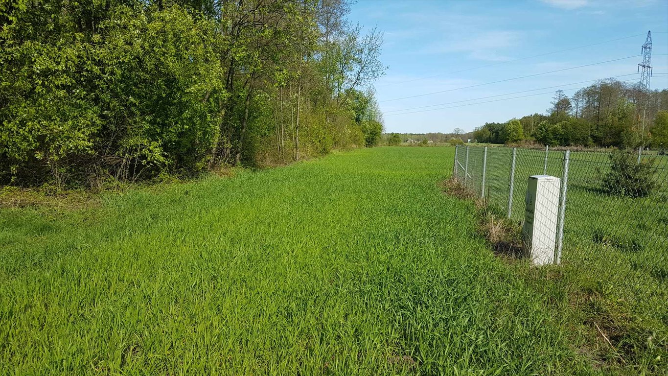 Działka budowlana na sprzedaż Miękiny  1 800m2 Foto 7