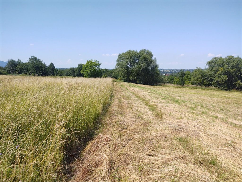 Działka budowlana na sprzedaż Bielsko-Biała, Stare Bielsko  6 722m2 Foto 7