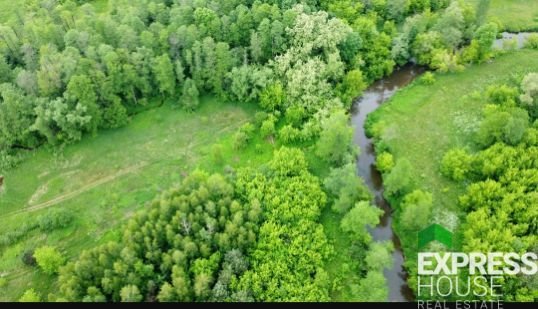 Działka budowlana na sprzedaż Kruszówiec, Nowa  4 500m2 Foto 1