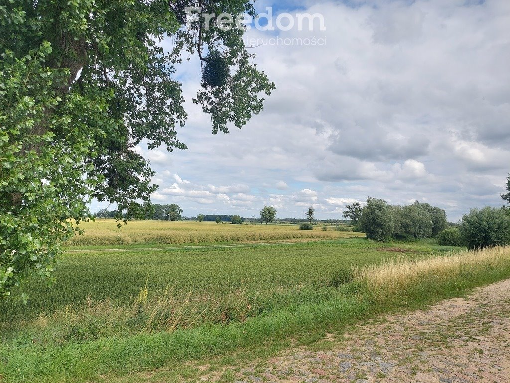 Działka rolna na sprzedaż Kamienica  9 400m2 Foto 5