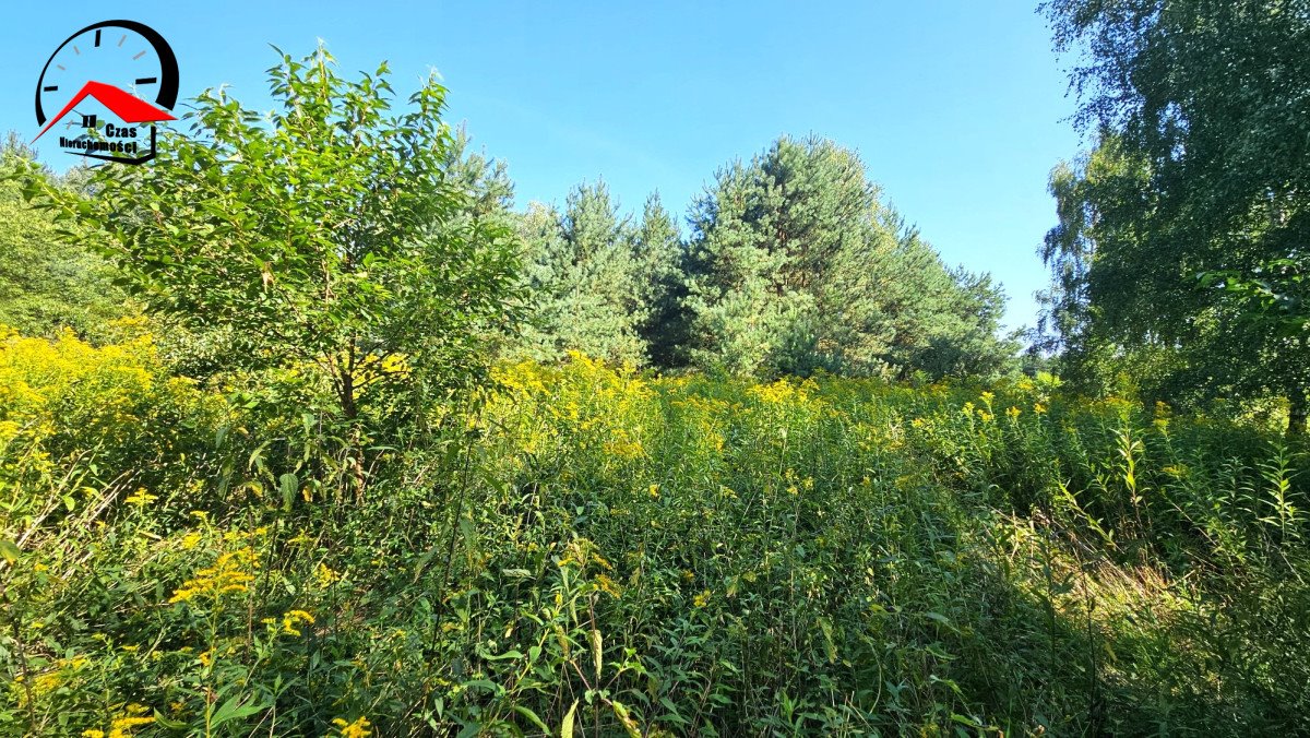 Działka budowlana na sprzedaż Zajezierze  5 500m2 Foto 3