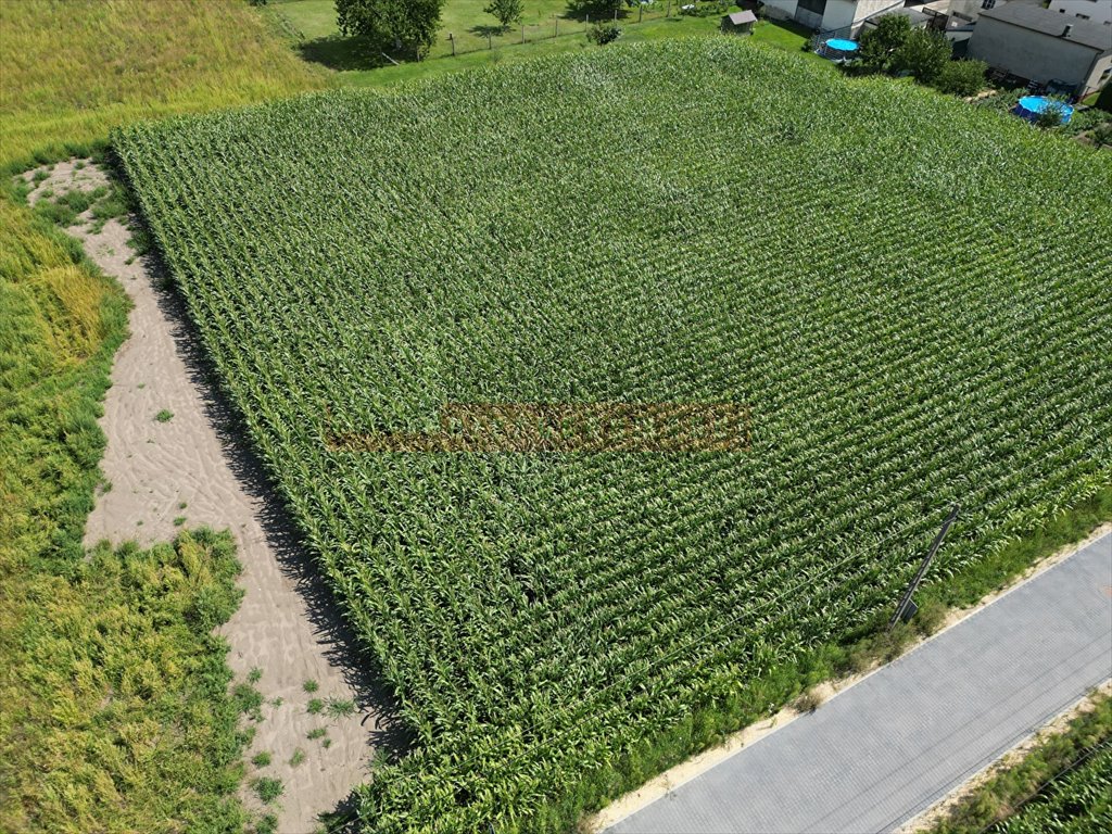 Działka inna na sprzedaż Chorula  1 250m2 Foto 3