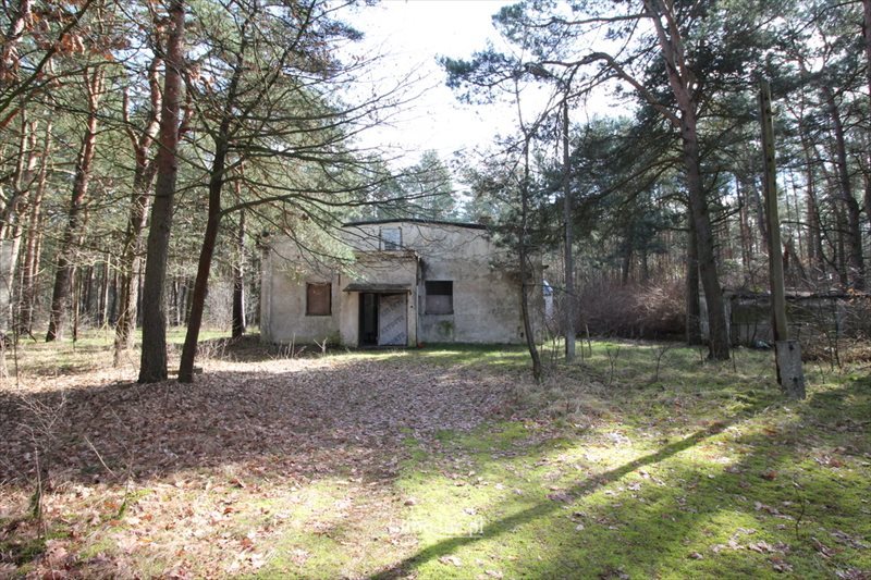 Lokal użytkowy na sprzedaż Borek 200m2 Foto 1 Lokal użytkowy na sprzedaż Borek 200m2 Foto 1