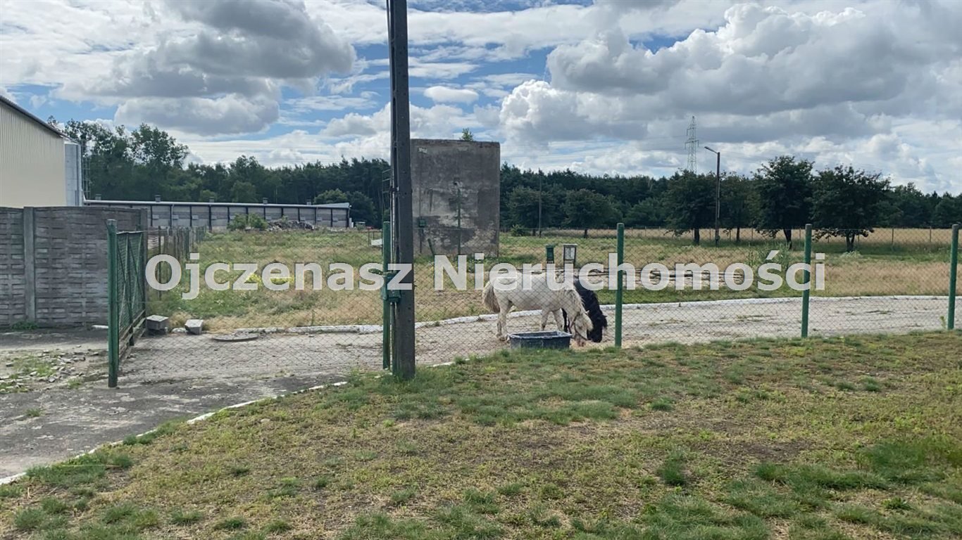 Magazyn na sprzedaż Nowe Dąbie  7 000m2 Foto 17